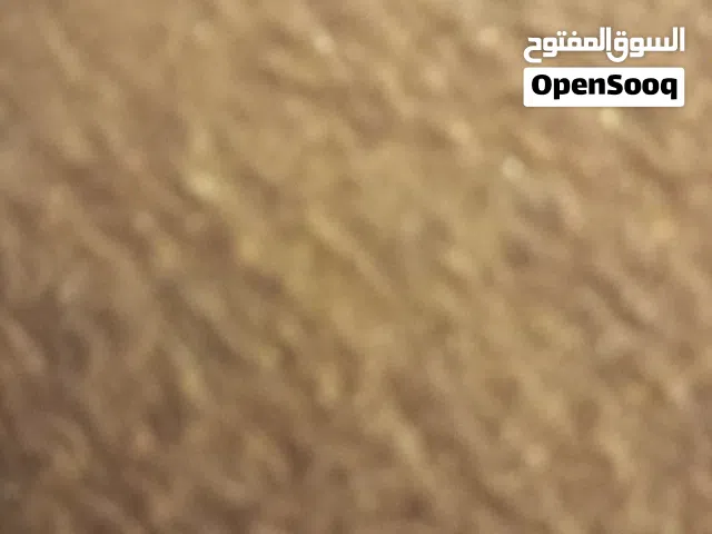 كافه بصلح لكافه الاعمال محلات كل شيء بزبط المساحه 200 م سعر المطلوب 11,000 وفي عموله الوسيط اللي هي