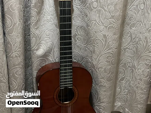 Guitar Jay turser