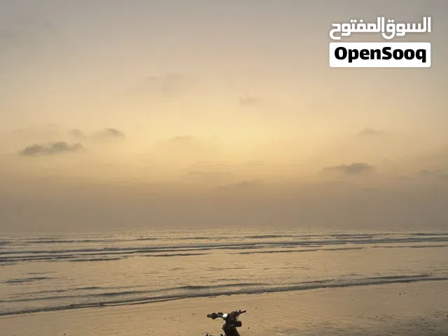 2025 اخرى اخرى