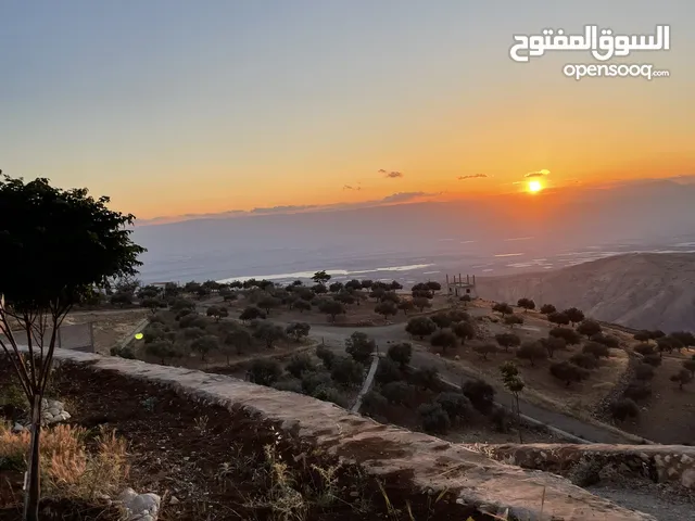 1 Bedroom Farms for Sale in Salt Al Maghareeb