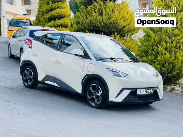 2023, بي واي دي, سيجول