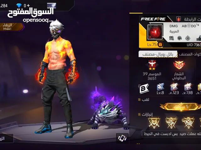 PS+ Accounts and Characters for Sale in Zarqa