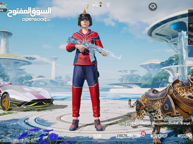 Pubg Accounts and Characters for Sale in Abha