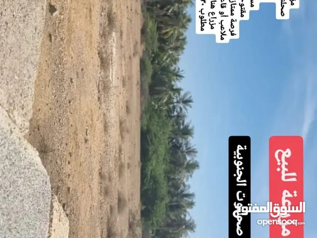 Farm Land for Sale in Dhofar Salala