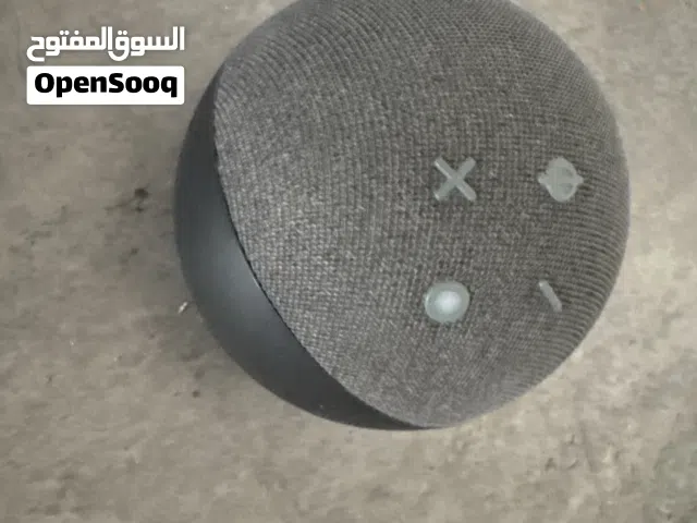Amazon Echo Dot