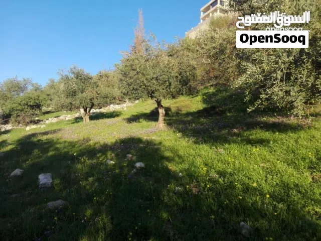 Residential Land for Sale in Amman Abu Al-Sous