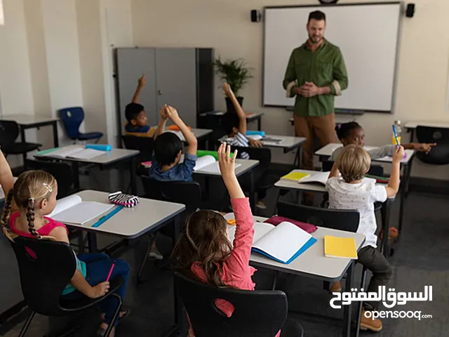 French Teacher in Marrakesh