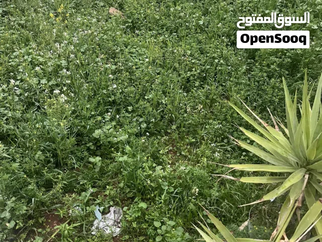 منزل مستقل  مكون من اربع شقق في الزرقاء الحديده البتراوي الجنوبي شارع الوينك للبيع