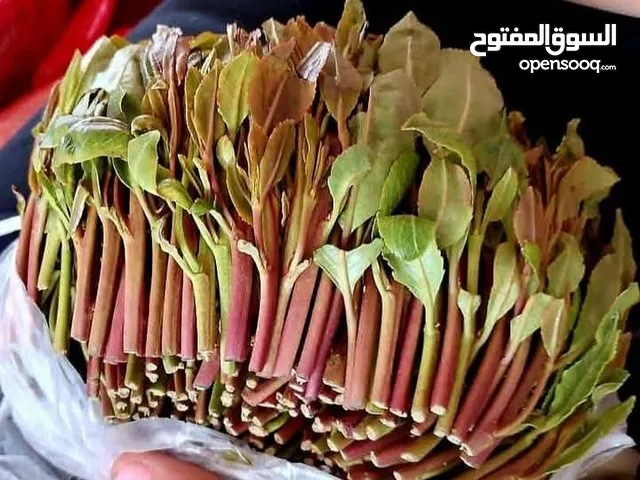 وكاله القات العمري