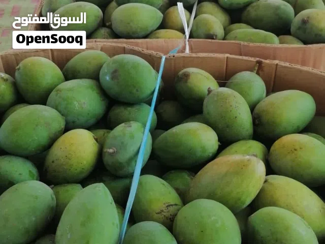 حدال حامض الكرتون ب 14