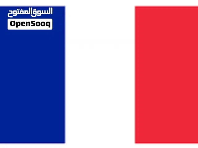 مدرس فرنسي