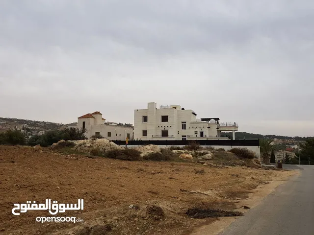 أرض سكنية في ناعور _ام تينة مقابل قصر الأمير محمد
