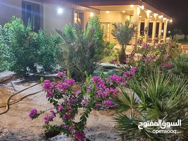 الدرة فارم العبدلي V.I.P