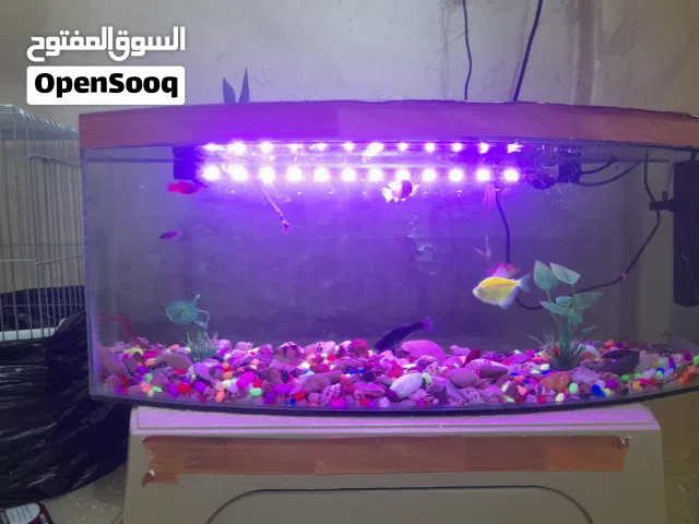 حوض سمك للبيع بدون السمك امزين وفلتر وضو