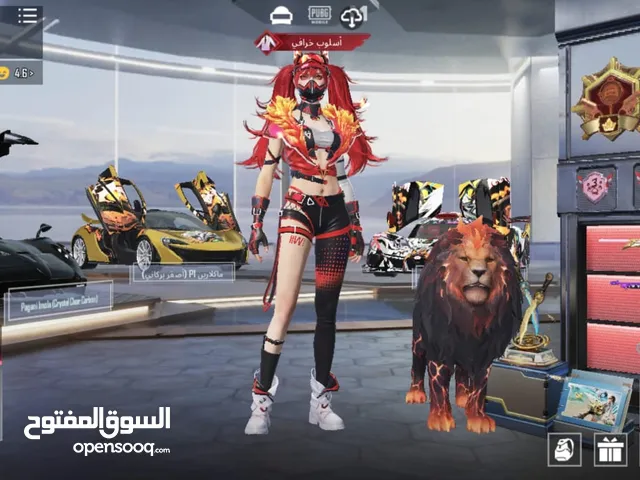Pubg Accounts and Characters for Sale in Irbid