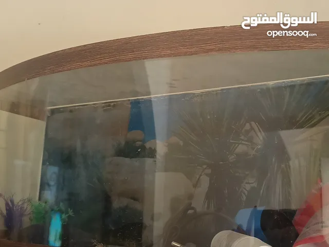 حوض سمك نظيف جدا للبيع