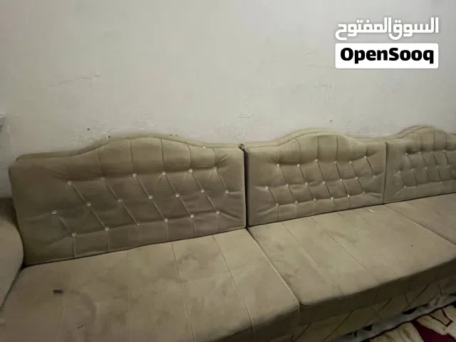 تخم ديوان 10 مقاعد