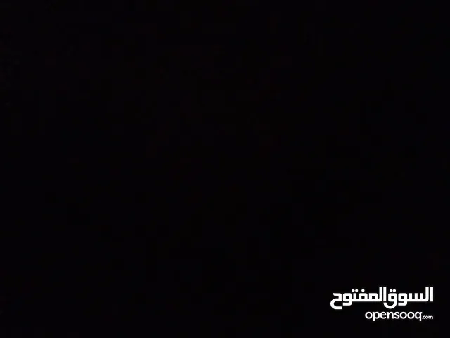 حمام للبيع