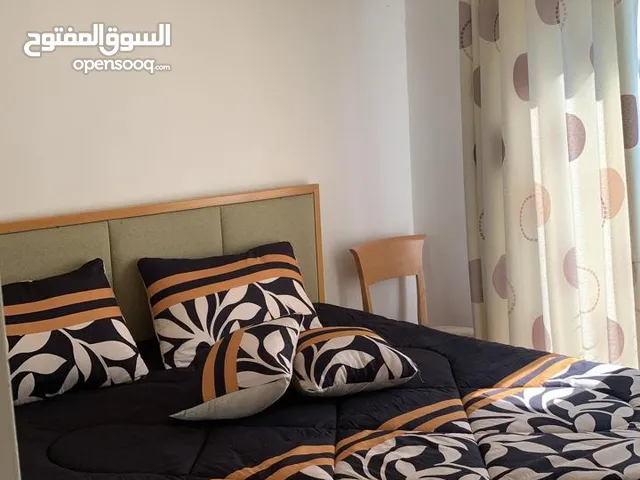 شقة ستديو for rent Apartment