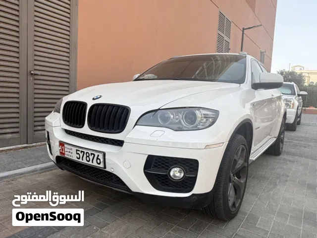 2010 BMW X6 Series Standard