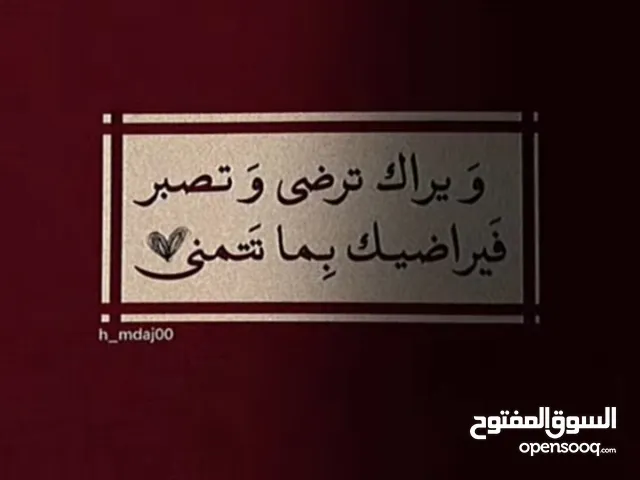 Omran Mohamed