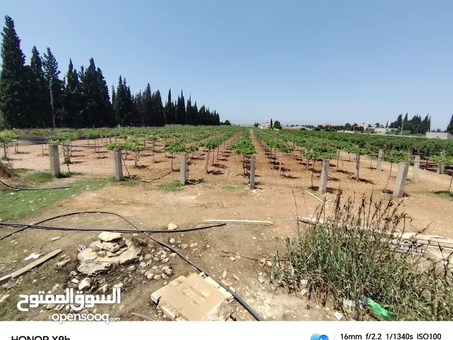 Mixed Use Land for Sale in Homs Other