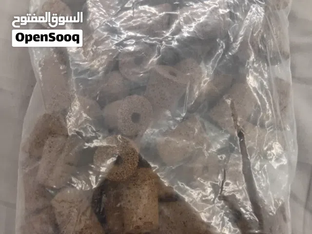 اسنج وسيط انبات في نظام الزراعة المائية