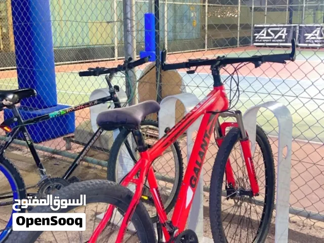 بسكليت حجم 29 اصلي امريكي