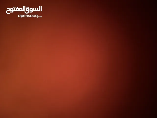 نبال فراس الضمور