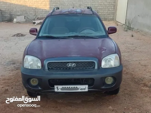 سنتافي 2004