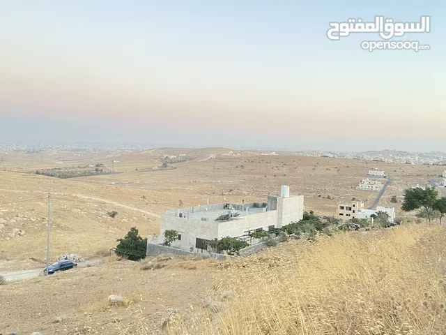 Residential Land for Sale in Amman Zinat Al-Rubue