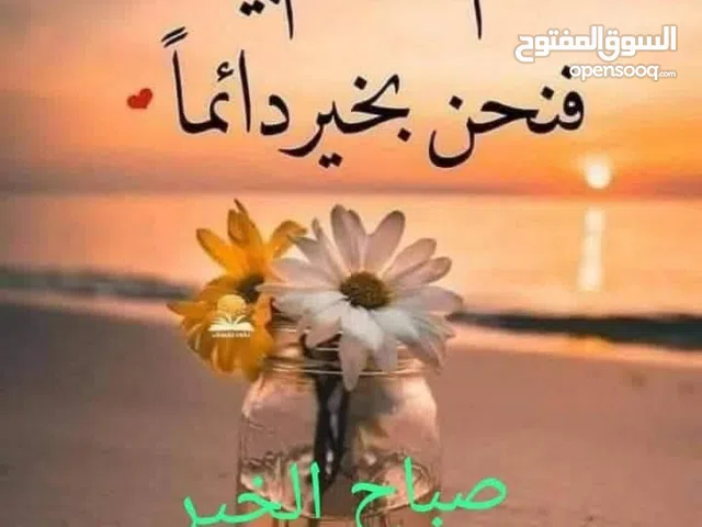 حراث جميع الأراضي الزراعيه تشييك جميع الأراضي والمزارع تنظيف الأعشاب