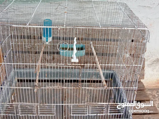 قفص لطيور لكوكتيل فقط 10 دنانير لتواصل على الرقم لي بوصف الإعلان