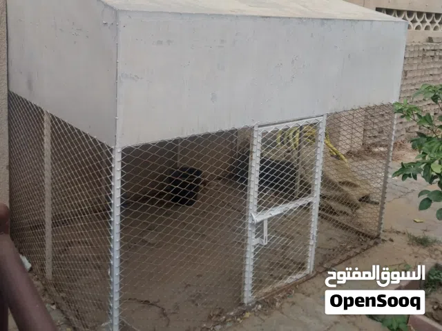 للبيع قفص معدني يصلح للطيور والحيوانات