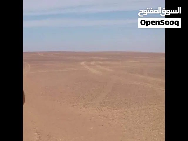 Farm Land for Sale in Giza Bahariya Oasis