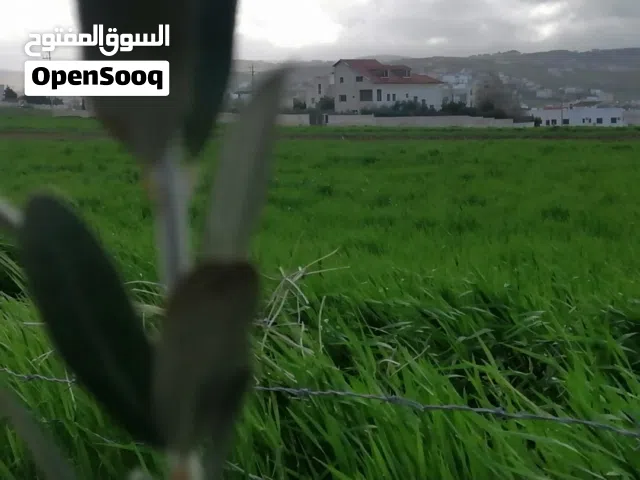 Residential Land for Sale in Irbid Al Husn