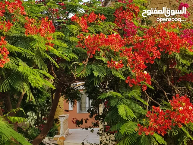 Mixed Use Land for Sale in Tripoli Tajura