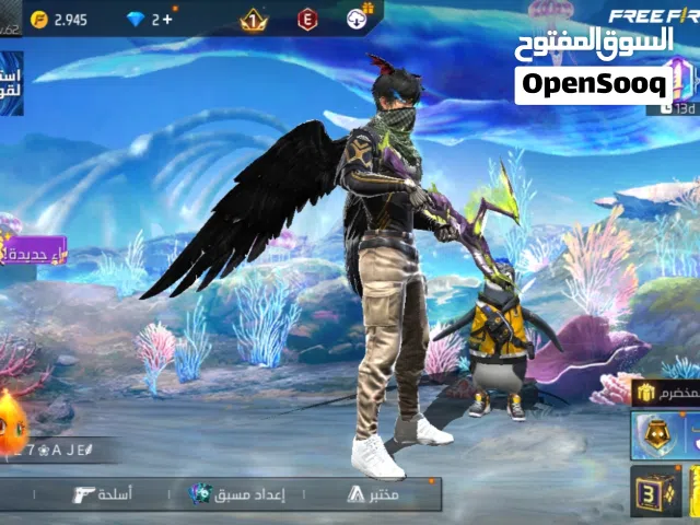 سعر الحساب 30 دينار حساب ليفل 62