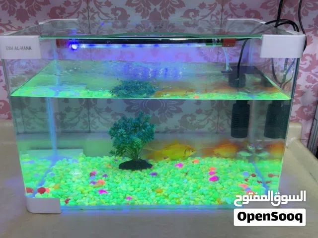 حوض اسماك جديد