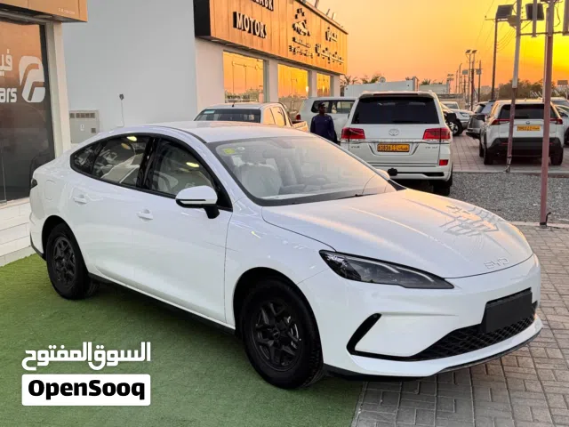 2025 بي واي دي سيل