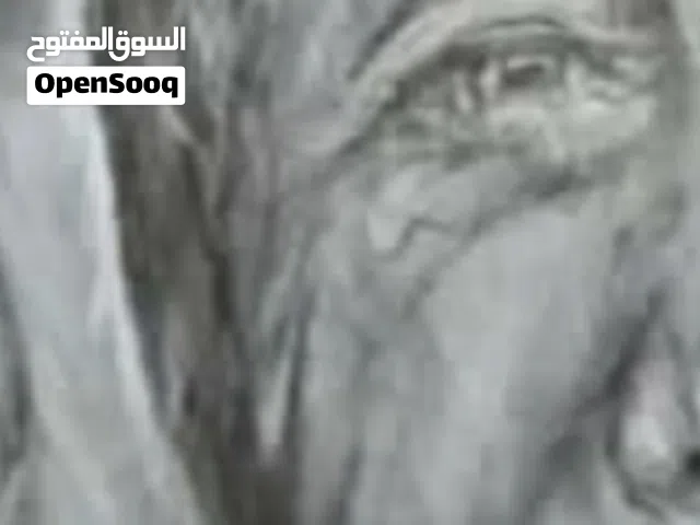 رسم ةجوه ورسم جداريات