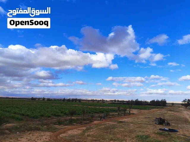 More than 6 bedrooms Farms for Sale in Suluq Other