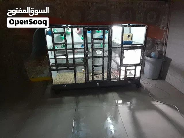(قفص عصافير كبير  وقفص كوكتيل) "طوله 160"  عرضه 52    ارتفاعه 111 (والله يبارك لصاحب النصيب )