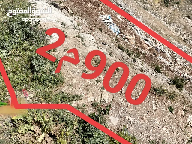 900م2سكن(ج)قوشان مستقل حرق سعر مايلةتحت الشارع امزفت..نقبل البدل كجزء من الثمن.