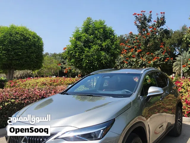 لكسز NX350