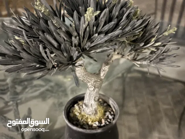 نبته جميله صناعيه و حلوه و مميزه وفي نفس الوقت جميله و راقيه جدا