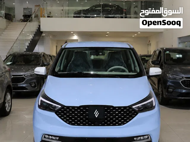 2026 جاي ام اي في EV3