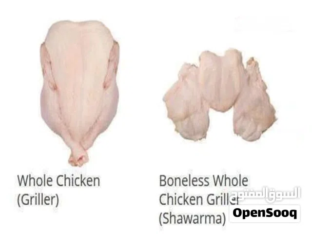 دجاج برزيلي سعر منخفض