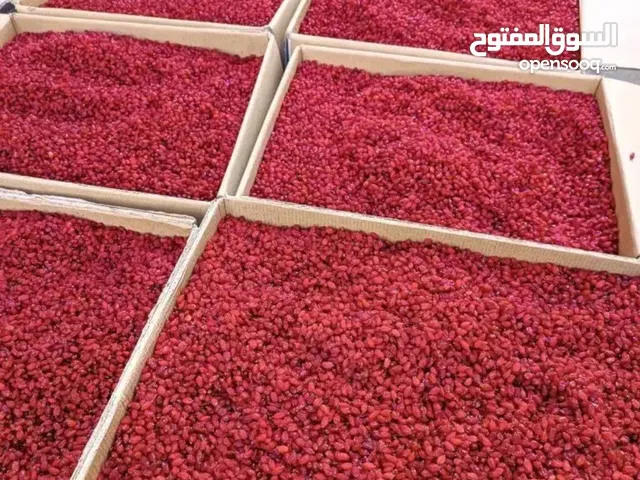البرباریس ( زرشک إیرانی )