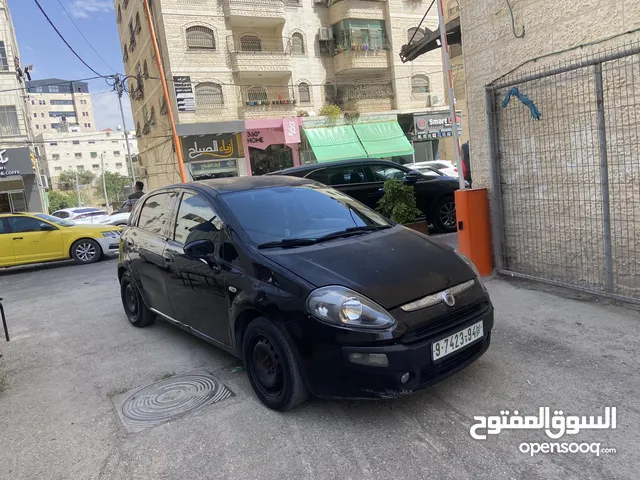 Used Fiat Punto in Hebron
